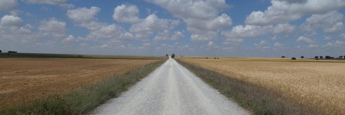 Jakobusweg in der Meseta