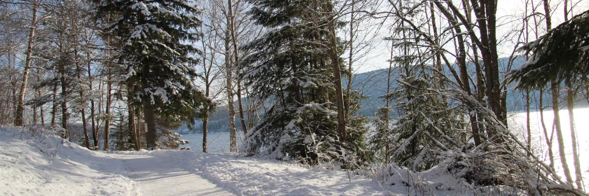 Weg im Schnee