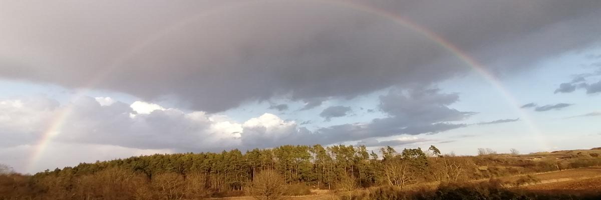 Regenbogen