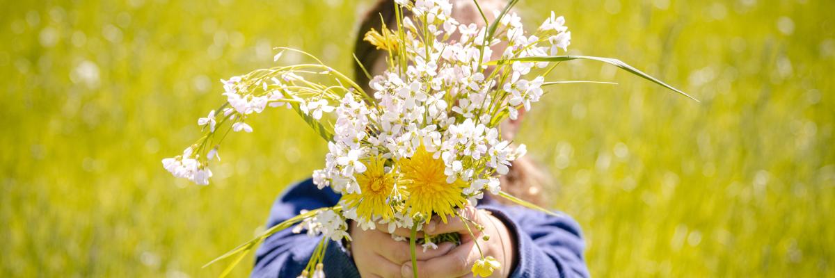 Blumenstrauß mit Wiesenblumen